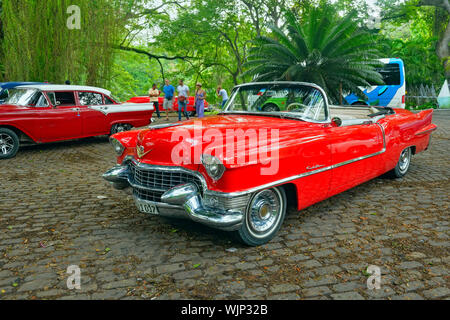 Cadillac Eldorado cabriolet 1955, La Habana (Avana), La Habana, Cuba Foto Stock