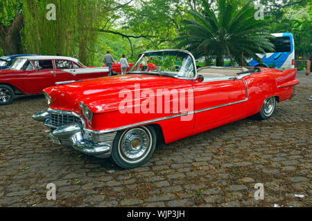 Cadillac Eldorado cabriolet 1955, La Habana (Avana), La Habana, Cuba Foto Stock