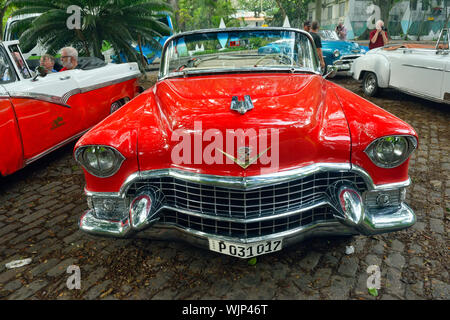 Cadillac Eldorado cabriolet 1955, La Habana (Avana), La Habana, Cuba Foto Stock