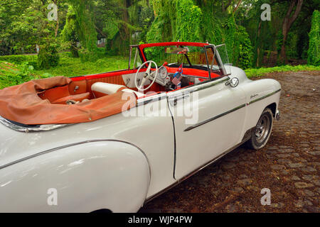 L'annata 1950 Chevy convertible- driver 'Luis', La Habana (Avana), La Habana, Cuba Foto Stock