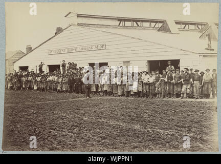 Horse shoeing shop, Intendente del dipartimento, Washington D.C., Aprile 1865 Foto Stock