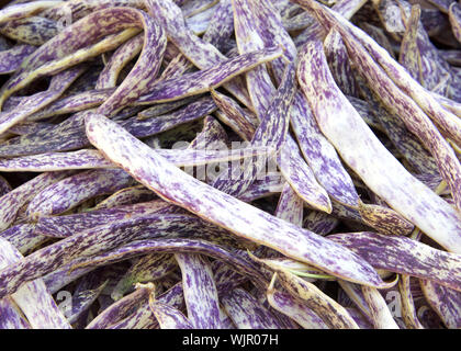 Close up top view flat giaceva sul mazzetto di dragon linguetta fagioli al mercato degli agricoltori. Foto Stock