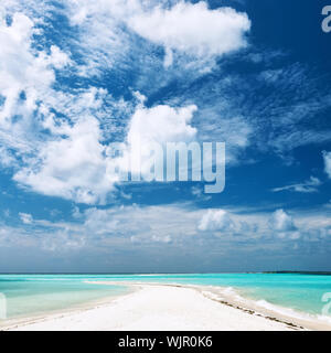 Isola Bella spiaggia con sandspit a Maldive Foto Stock