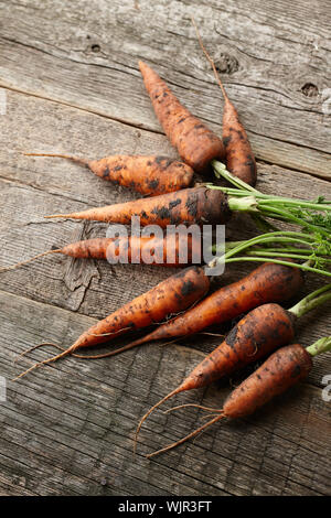 Freschi carote lavate con verdi su vecchie tavole di legno Foto Stock