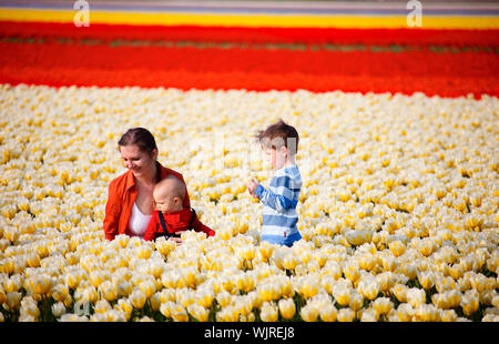 Madre di due bambini nel campo di tulipani Foto Stock