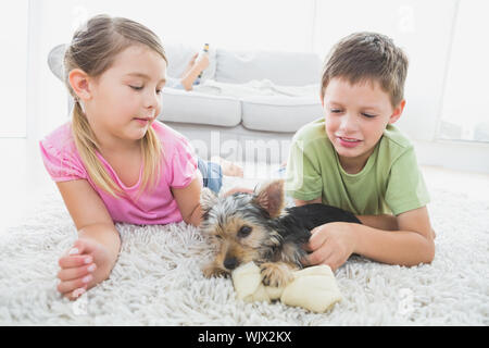 I fratelli giacente sul tappeto con loro Yorkshire terrier cucciolo in casa nel salotto Foto Stock