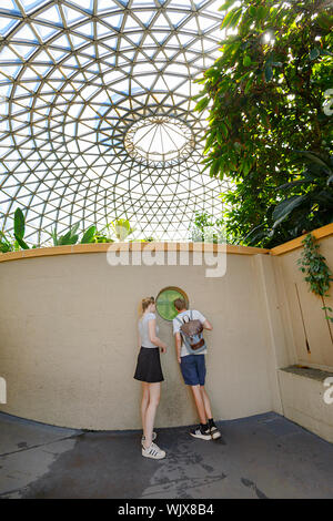 I visitatori che desiderano attraverso un oblò all'interno del display tropicale cupola al Mt Coot-tha Botanic Gardens, Brisbane, Queensland, QLD, Australia Foto Stock