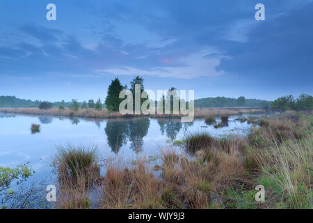 Estate Sunset over bog, Friesland, Paesi Bassi Foto Stock