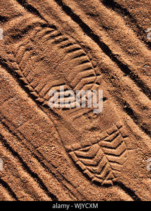 Close up della scena del crimine stampa cassoncino di pulizia Foto Stock