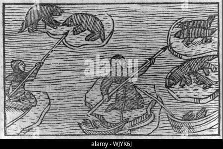 Illustrazione delle attività dei Lapponi e finlandesi: le guarnizioni di tenuta di caccia, indossa una contraffazione di pelle nera Foto Stock