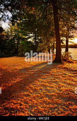 Tramonto a riva del Lago dei due fiumi di Algonquin Park, Ontario, Canada Foto Stock