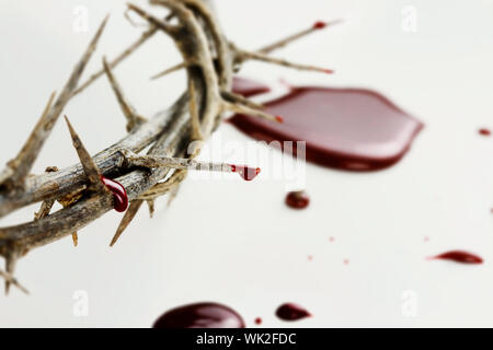 La corona di spine con gocce di sangue su sfondo bianco. Foto Stock