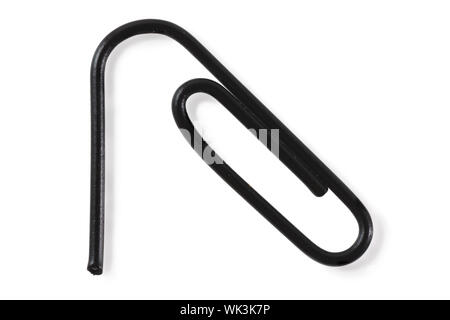 Vista macro di nero Graffetta isolata su bianco Foto Stock