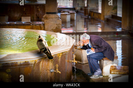 Kastamonu / TURCHIA - Agosto 04 2019: e il vecchio uomo bere acqua dalla fontana appena fuori della moschea Nasrullah con un piccione seduti intorno a. Foto Stock