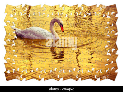Prendersi cura della tua bellezza - White Swan in sfondo dorato - Concetto di immagine in puzzle forma Foto Stock