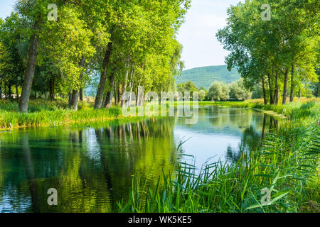 Bellissimo fiume Gacka che scorre tra gli alberi e i campi, summer view, Lika regione della Croazia Foto Stock