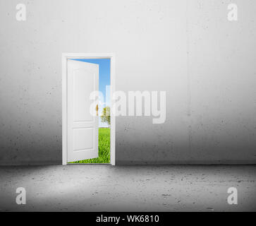 Aprire la porta a un nuovo mondo migliore, il verde paesaggio estivo. Conceptual nuovo modo, ingresso al nuovo mondo, la vita, la speranza. Foto Stock