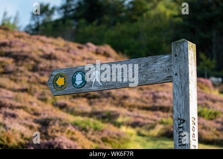 Cartello a piedi che mostra la direzione per la sommit di Moel Famau, il punto piu' alto delle colline della catena montuosa Clwydian nel Galles del Nord Foto Stock