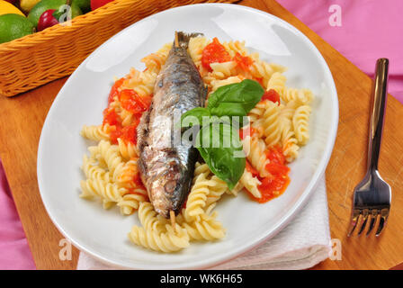 Grigliata di sardine organico su alcuni pomodoro pasta Foto Stock