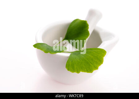 Foglie di Ginkgo biloba in mortaio e pillole Foto Stock