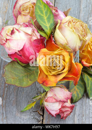 Disposizione dei colorati rose appassite con foglie in vaso di vetro isolato sul rustico sfondo di legno Foto Stock