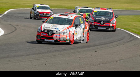 Renault Clio Cup pratica ad Oulton Park, Auto 71, Max Coates, Team Hard Foto Stock