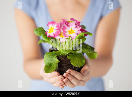 Donna di mani fiore nel suolo Foto Stock