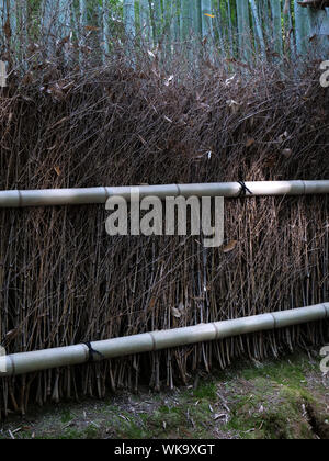 Giappone - Foto di Sean Sprague Arashiyama, Kyoto. Boschetto di bambù. Foto Stock