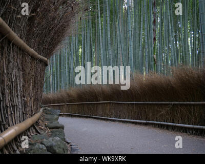 Giappone - Foto di Sean Sprague Arashiyama, Kyoto. Boschetto di bambù. Foto Stock