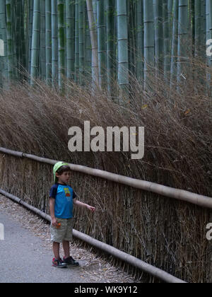 Giappone - Foto di Sean Sprague Arashiyama, Kyoto. Boschetto di bambù. Foto Stock