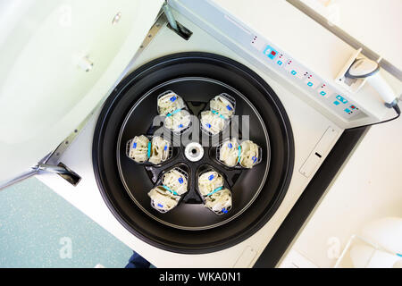 Sacche per sangue dopo la donazione di sangue in centrifuga per la separazione del siero e cellule di sangue rosse. Foto Stock