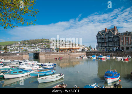 Le barche nel porto interno , Boatfloat Dartmouth Devon England Foto Stock