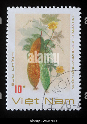 Timbro stampato in Vietnam mostra una Momordica charantia, serie, circa 1989. Foto Stock