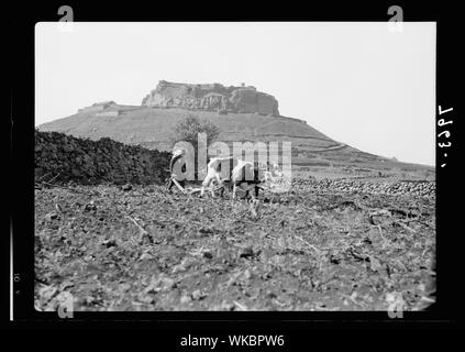 Jebel el-Drusi & Hauran. Salkhad. Un plowman mostra castello-hill a distanza Foto Stock