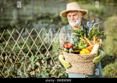 Ritratto di un senior ben vestito agronomo con cesto pieno di appena prelevato le verdure sul giardino all'aperto. Concetto di crescita di prodotti organici e di pensionamento attivo Foto Stock