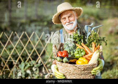 Ritratto di un senior ben vestito agronomo con cesto pieno di appena prelevato le verdure sul giardino all'aperto. Concetto di crescita di prodotti organici e di pensionamento attivo Foto Stock