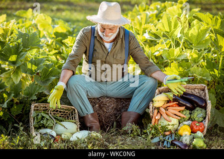 Ritratto di un senior ben vestito agronomo con appena prelevato le verdure sul giardino all'aperto. Concetto di crescita di prodotti organici e di pensionamento attivo Foto Stock