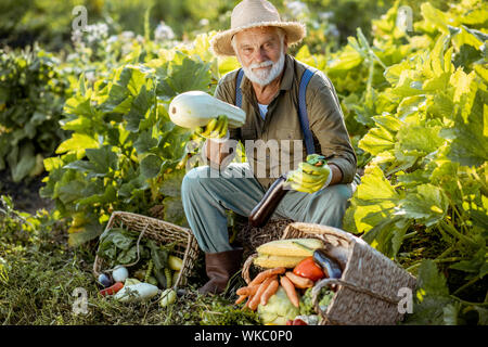 Ritratto di un senior ben vestito agronomo con appena prelevato le verdure sul giardino all'aperto. Concetto di crescita di prodotti organici e di pensionamento attivo Foto Stock