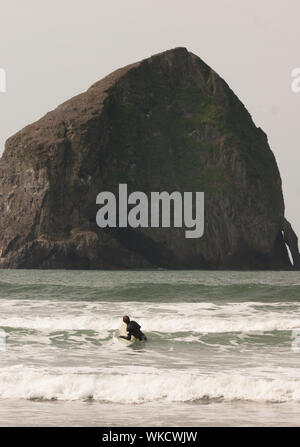 Composizione verticale surfista maschio che cerca di catturare un'onda West Coast Foto Stock