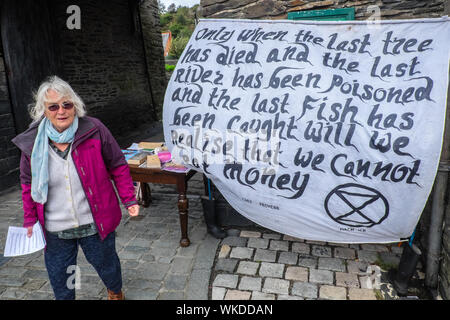 La Ribellione di estinzione,sostenitore,sostenitori,raccolta firme,,a,a,campagna,a,mostra, supporto,per,clima,emergenza,consapevolezza,a,Machynlleth,Galles Foto Stock