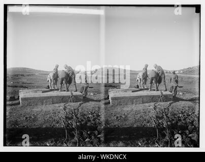 Gerusalemme opere d'acqua. La pulizia di una delle molle ad Ain Arroub Foto Stock