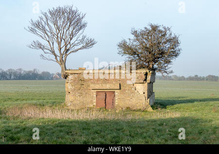 Vecchia Guerra Mondiale 2 scatola di pillole in un fieldnear Dover,UK. Piccoli alberi crescono sul tetto Foto Stock