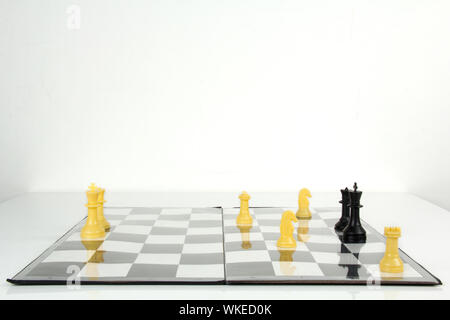 Black king being checked by white knight on chessboard Stock Photo