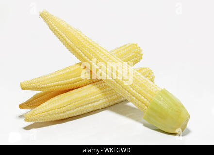 Baby corn isolati su sfondo bianco Foto Stock