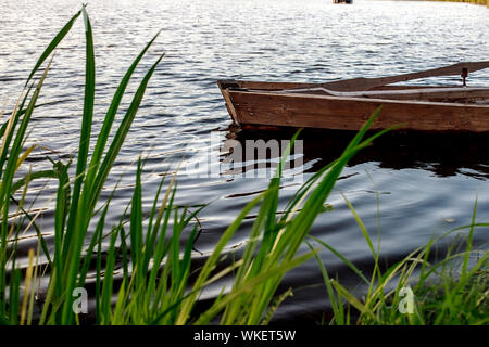 Una piccola barca a remi in legno barca con una rotta sul fondo di un lago calmo vicino alla riva. Bielorussia Foto Stock