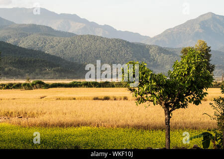 Il Nepal arte ritratti Foto Stock