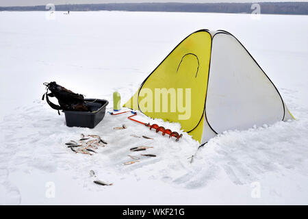 In inverno la pesca gialla tenda fissa sul ghiaccio con tutti gli attributi necessari per la pesca. Catture roach giacente nella neve davanti alla tenda del convegno. Foto Stock