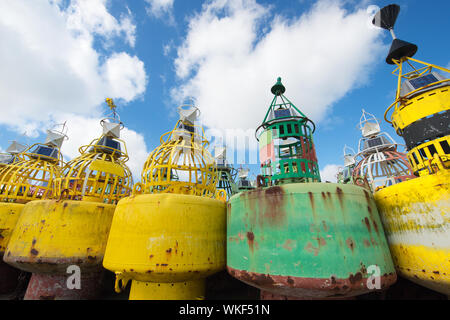 Boe colorate in stock presso la Dutch wadden island Terschelling Foto Stock