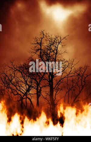 Di alberi in fiamme, concept per la foresta pluviale amazzonica sul fuoco Foto Stock