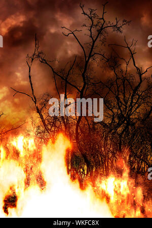 Di alberi in fiamme, concept per la foresta pluviale amazzonica sul fuoco Foto Stock